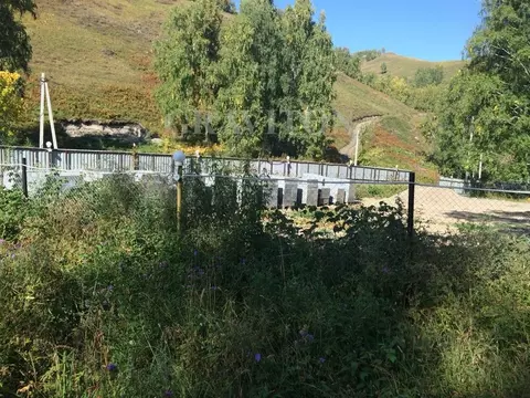 Участок в Алтайский край, Алтайский район, с. Алтайское  (10.0 сот.)