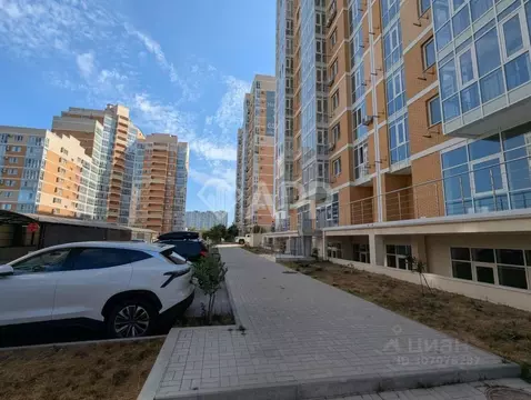 Помещение свободного назначения в Краснодарский край, Новороссийск ...