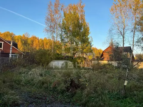 Участок в Санкт-Петербург, Санкт-Петербург, Павловск Павловское-1 СНТ, ...