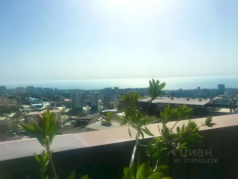 Студия Краснодарский край, Сочи ул. Тимирязева, 52/2 (20.0 м)