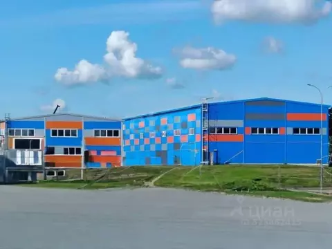 Участок в Новосибирская область, Новосибирский район, Толмачевский ...