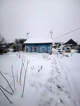 Дом в Омская область, Омск Отдых СНТ,  (42 м)