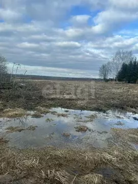 Участок в Вологодская область, д. Закобяйкино  (16.0 сот.)