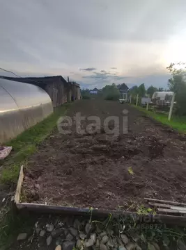 Дом в Пермский край, Чернушка ул. Чапаева, 30 (31 м)