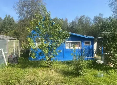 Дом в Вологодская область, Вологда Вологжанка садоводческое ...