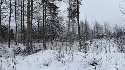 Участок в Ленинградская область, Выборгский район, Светогорское ...