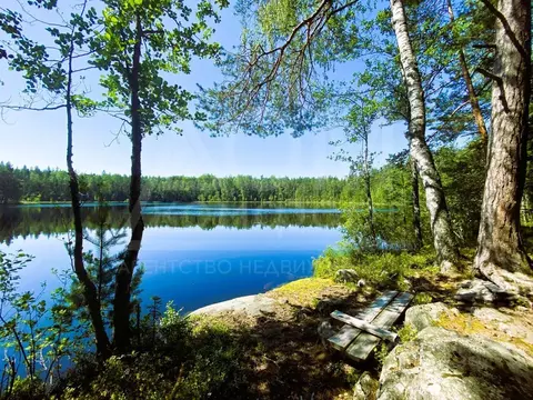 Участок в Ленинградская область, Приозерское городское поселение, пос. ...