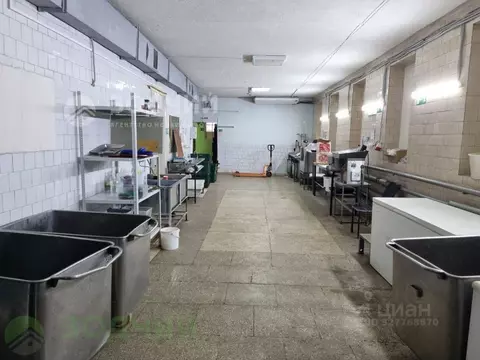 Помещение свободного назначения в Чувашия, Чебоксары ул. Магницкого, ...