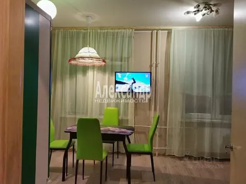 Студия Ленинградская область, Сертолово Всеволожский район, ...