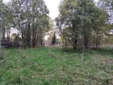 Участок в Ленинградская область, Волховский район, Кисельнинское ...