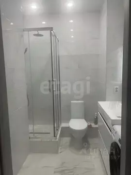 Студия Новосибирская область, Новосибирск Бронная ул., 22 (24.3 м)