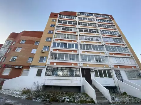 Помещение свободного назначения в Пермский край, Пермь ул. Тургенева, ...