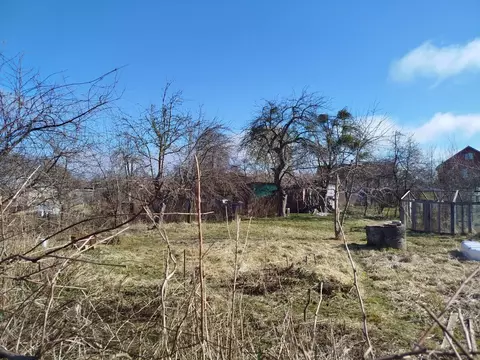 Участок в Калининградская область, Калининград Победа садовое ...