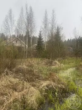 Участок в Санкт-Петербург, Санкт-Петербург, Зеленогорск ул. 1-я ...