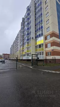 Студия Свердловская область, Каменск-Уральский ул. Суворова, 20 (24.2 ...