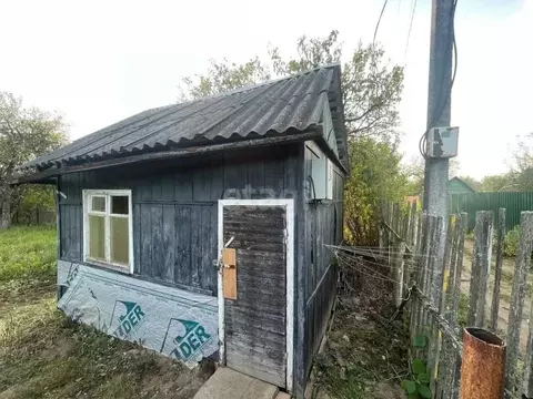Дом в Смоленская область, Смоленск Черничный сад СНТ,  (16 м)