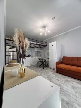 Студия Ленинградская область, Мурино Всеволожский район, ул. Шувалова, ...