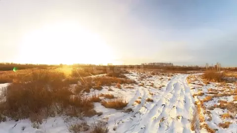 Участок в Тюменская область, Тюменский район, Винзили рп, Надежда СНТ  ...