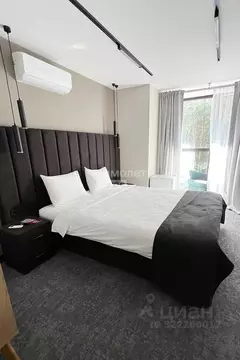 1-к кв. Челябинская область, Чебаркуль Еловая ул., 26 (20.3 м)