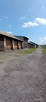 Участок в Алтайский край, Бийск  (41.0 сот.)