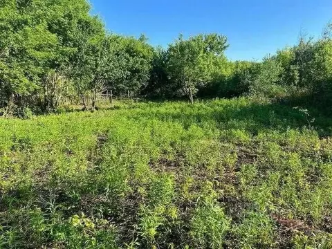 Участок в Самарская область, Самара Поселок Козелковская ст., ул. ...