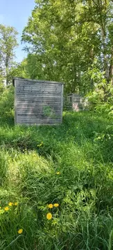 Участок в Московская область, Раменский муниципальный округ, Зеленая ...