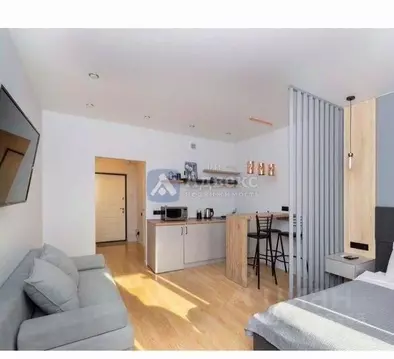 Студия Тюменская область, Тюмень ул. 2-я Луговая, 24к2 (27.7 м)