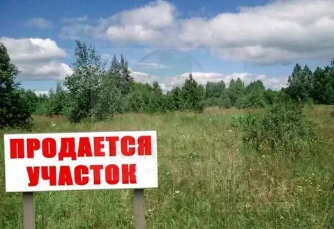 Участок в Башкортостан, Кушнаренковский район, Шариповский сельсовет, ...