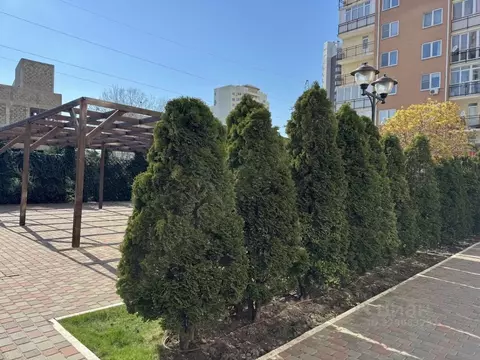 Студия Краснодарский край, Анапа Парковая ул., 61к4 (26.0 м)