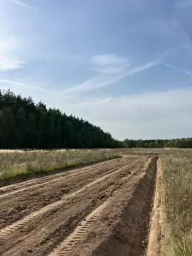 Участок в Московская область, Раменский муниципальный округ, Опушкино ...