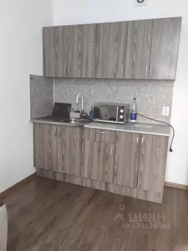 Студия Санкт-Петербург ул. Летчика Лихолетова, 14к2 (24.2 м)