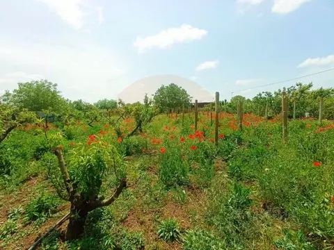 Участок в Крым, Сакский район, с. Крымское ул. Северная (14.25 сот.)