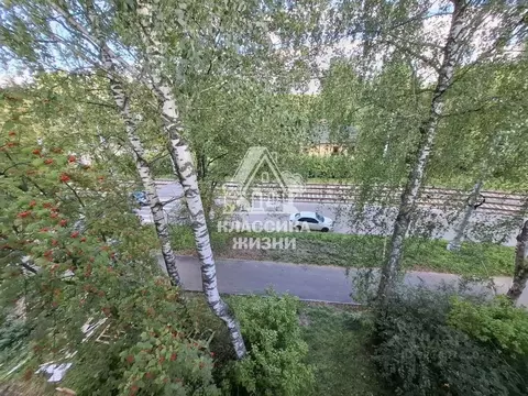 2-к кв. Нижегородская область, Нижний Новгород Корейская ул., 21 (20.8 ...