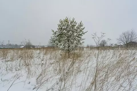 Участок в Пермский край, Пермский муниципальный округ, д. Гамы ул. ...