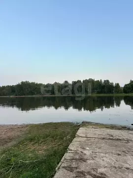 Участок в Ярославская область, Брейтовский муниципальный округ, ...