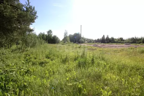 Участок в Вологодская область, Шекснинский муниципальный округ, ...