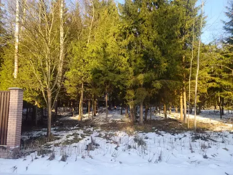 Участок в Московская область, Дмитровский муниципальный округ, Аква ...