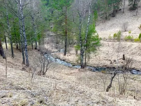 Участок в Алтай, Чемальский район, с. Бешпельтир  (580.0 сот.)