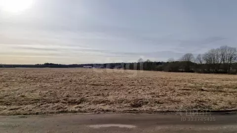 Участок в Тверская область, Калининский муниципальный округ, пос. ...