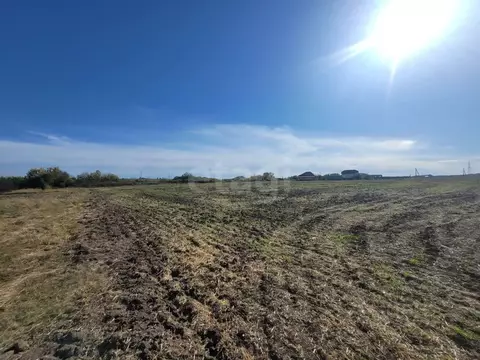Участок в Белгородская область, Белгородский район, Беловское с/пос, ...