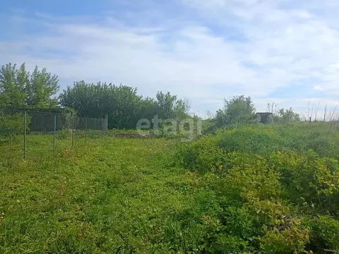 Участок в Воронежская область, Новоусманский район, ...