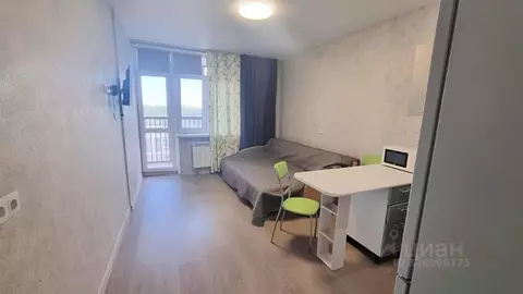 Студия Московская область, Долгопрудный Новый бул., 7к1 (25.0 м)