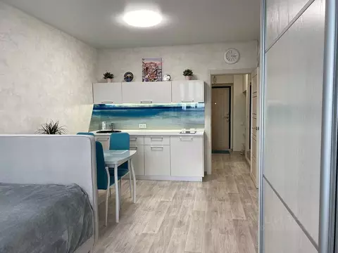 Студия Новосибирская область, Новосибирск Красный просп., 305 (27.0 м)