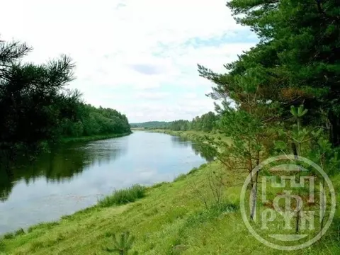 Участок в Ленинградская область, Лужский район, Скребловское с/пос, д. ...
