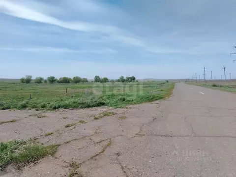 Участок в Оренбургская область, Сорочинский муниципальный округ, с. ...