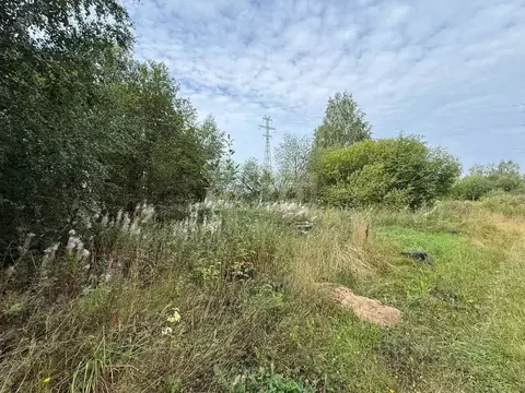 Участок в Вологодская область, Великий Устюг  (45.0 сот.)