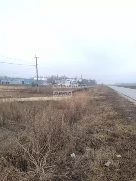 Участок в Воронежская область, Рамонский район, Березовское с/пос, с. ...