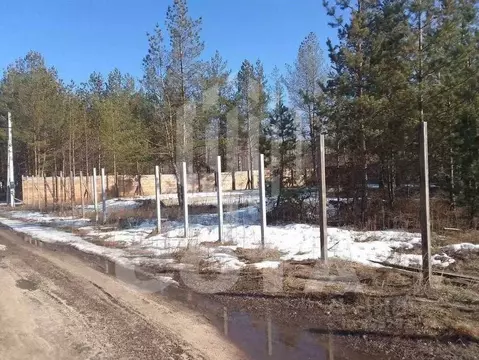 Участок в Воронежская область, Рамонский район, Новоживотинновское ...