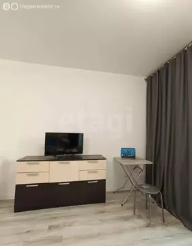Квартира-студия: деревня Новосаратовка, улица Первых, 4к3 (34 м)
