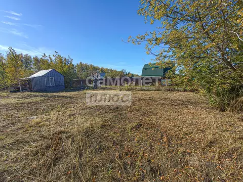 Участок в Ульяновская область, Ульяновск Дендрарий СНТ, 274 (6.5 сот.)